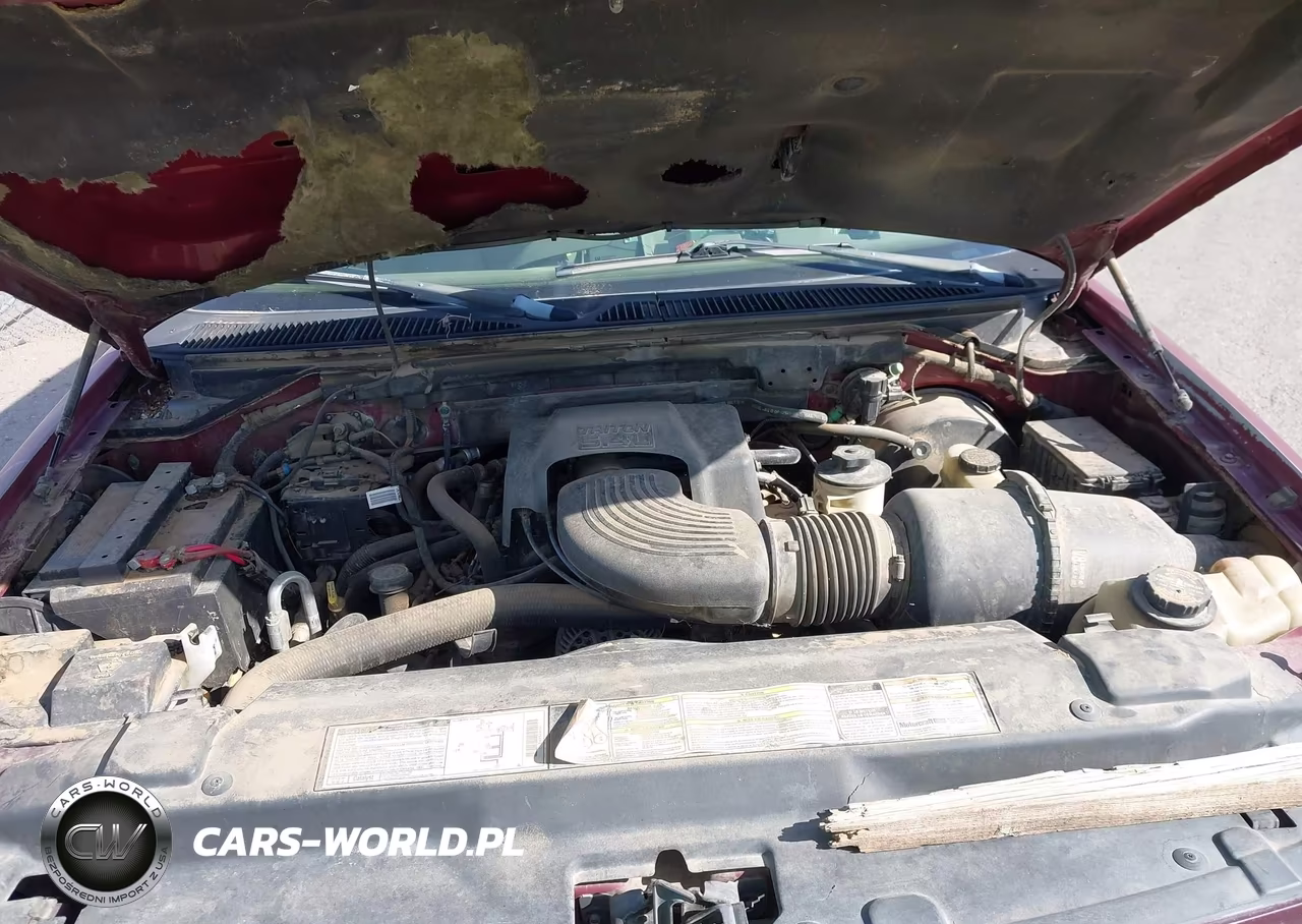 2000 Ford Expedition Eddie Bauer VIN:1FMFU18L7YLB67223 - 10