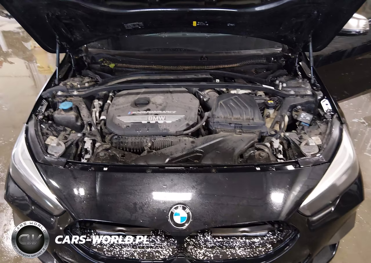 2020 BMW M235I Gran Coupe xDrive VIN:WBA13AL02L7F81803 - 10