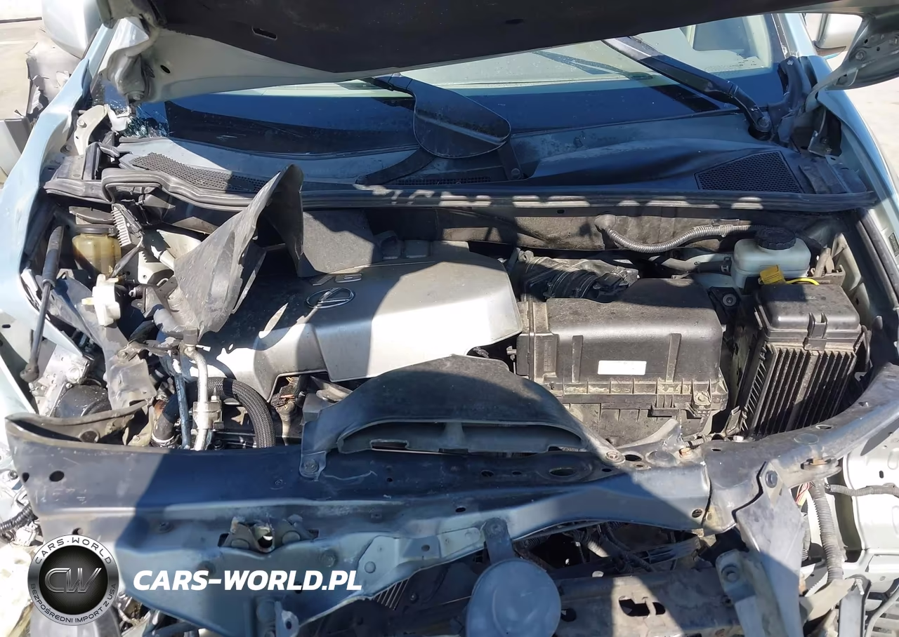 2009 Lexus Rx 350 VIN:2T2HK31U29C113835 - 10