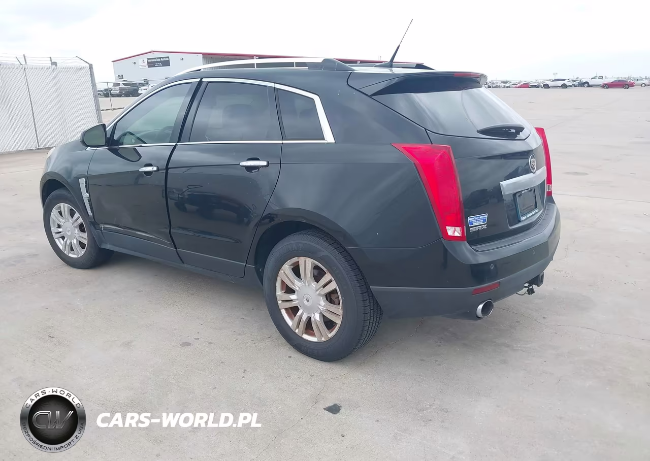 2010 Cadillac Srx Luxury Collection VIN:3GYFNAEY3AS601567 - 3