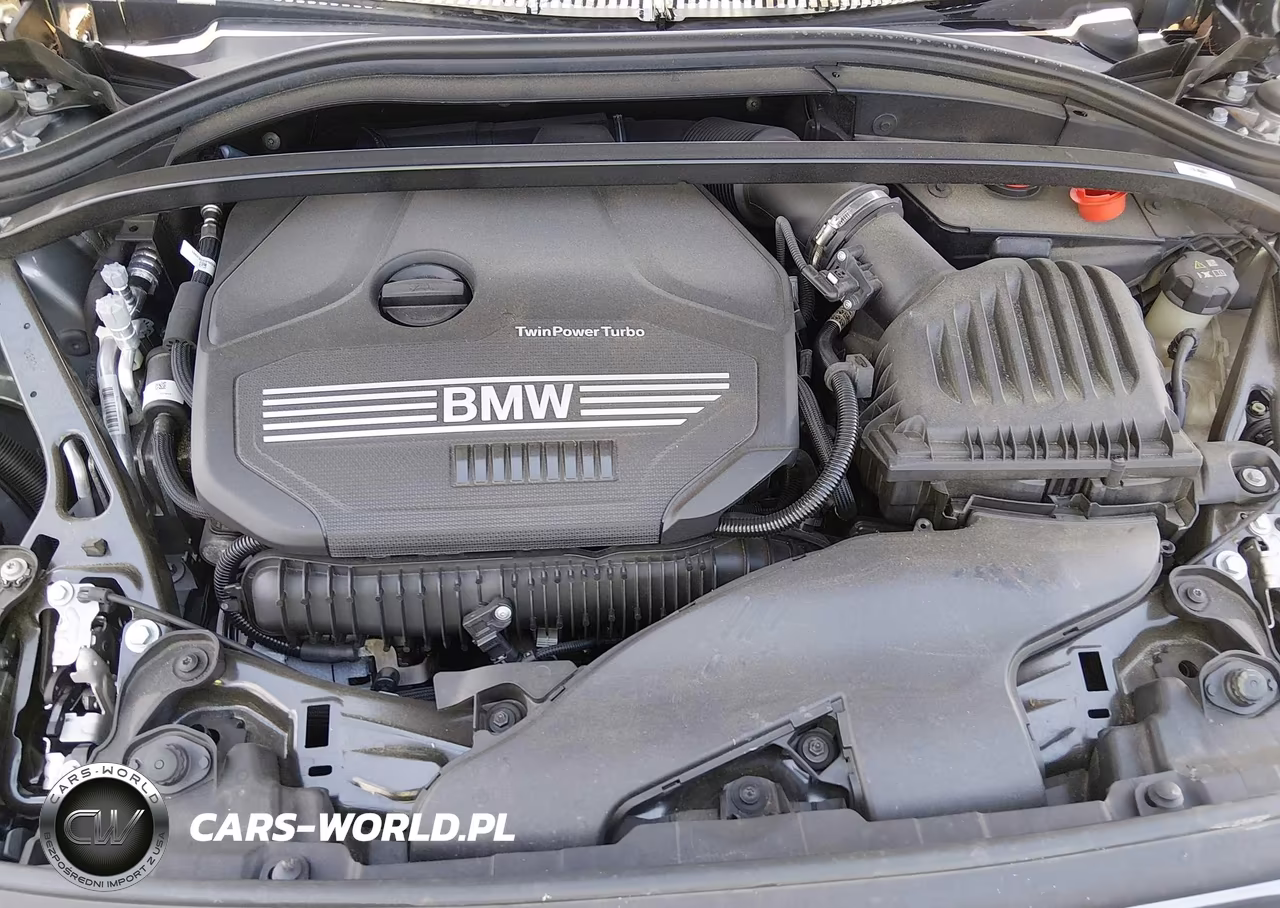 2022 BMW 228 Gran Coupe I Sdrive VIN:WBA53AK08N7L37866 - 10
