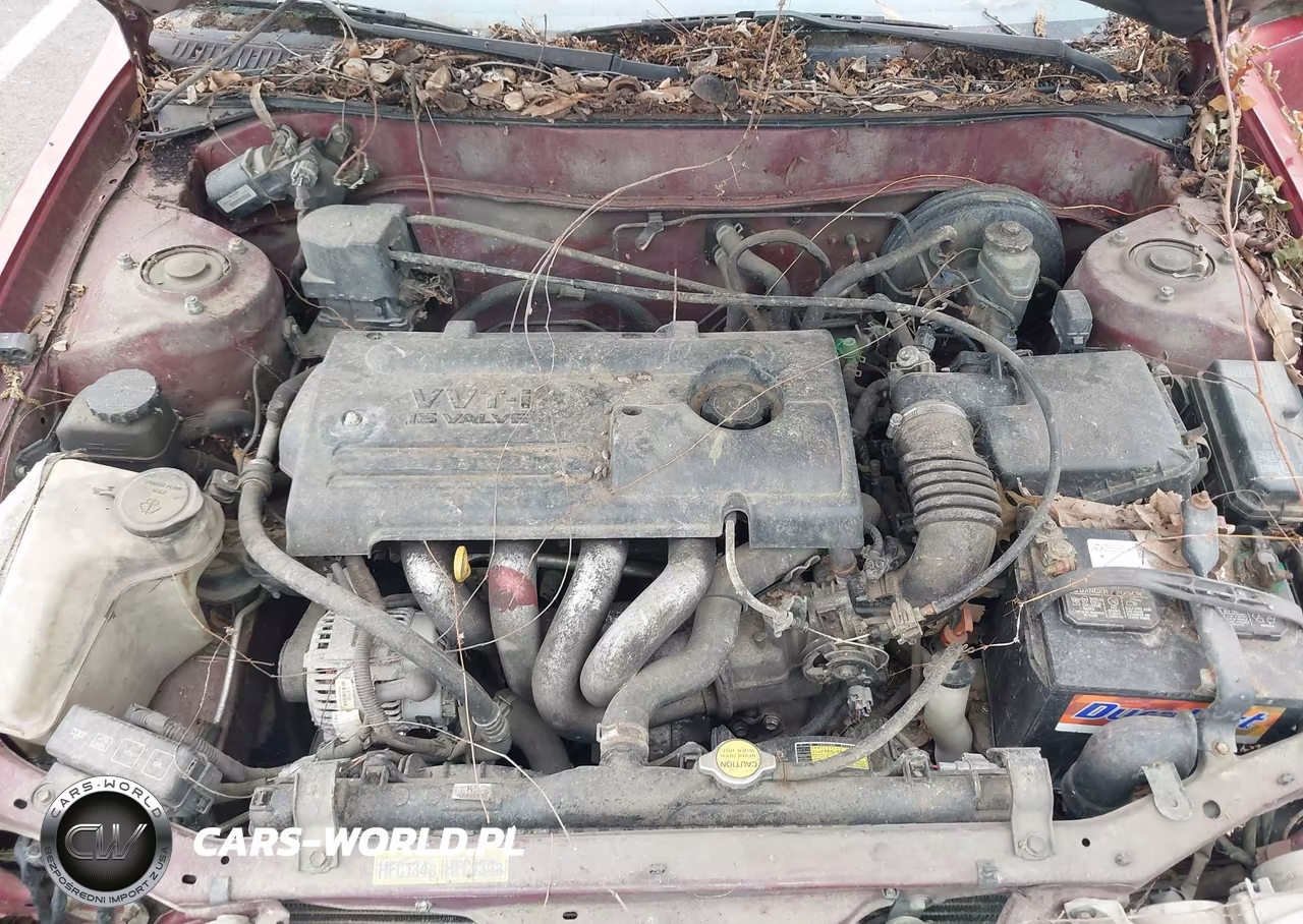 2001 Toyota Corolla Le VIN:1NXBR12E11Z491083 - 10