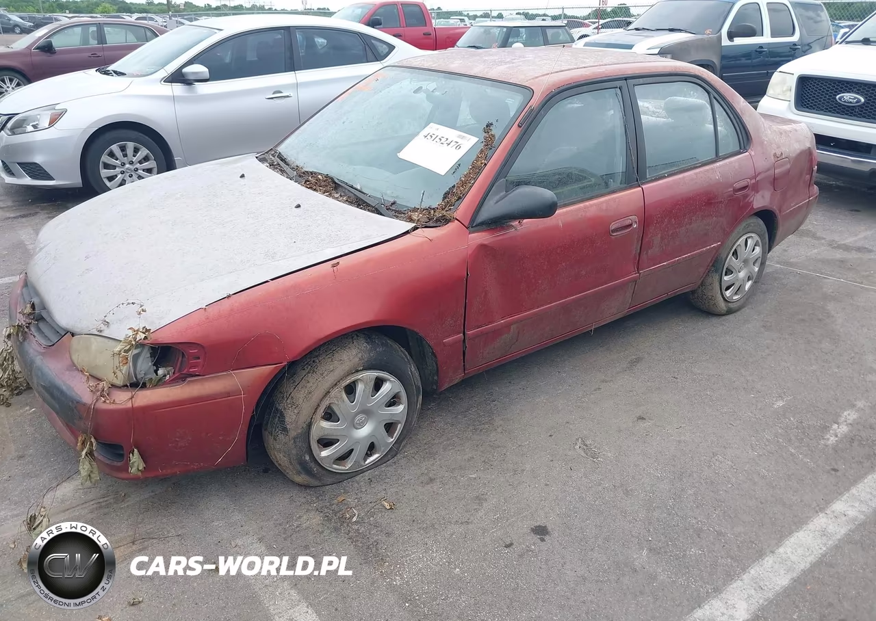 2001 Toyota Corolla Le VIN:1NXBR12E11Z491083 - 2