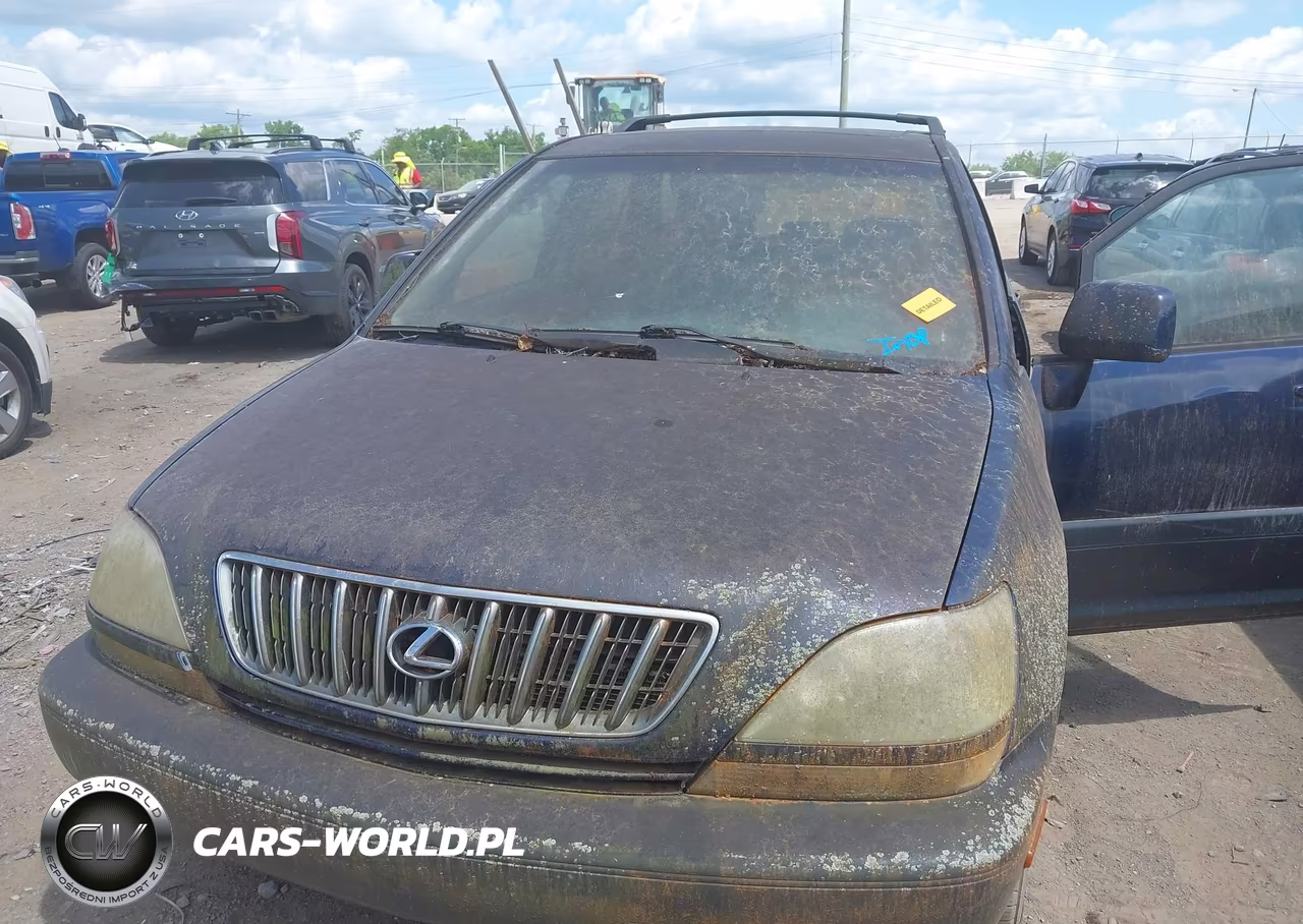 2001 Lexus Rx 300 VIN:JTJHF10UX10187840 - 10