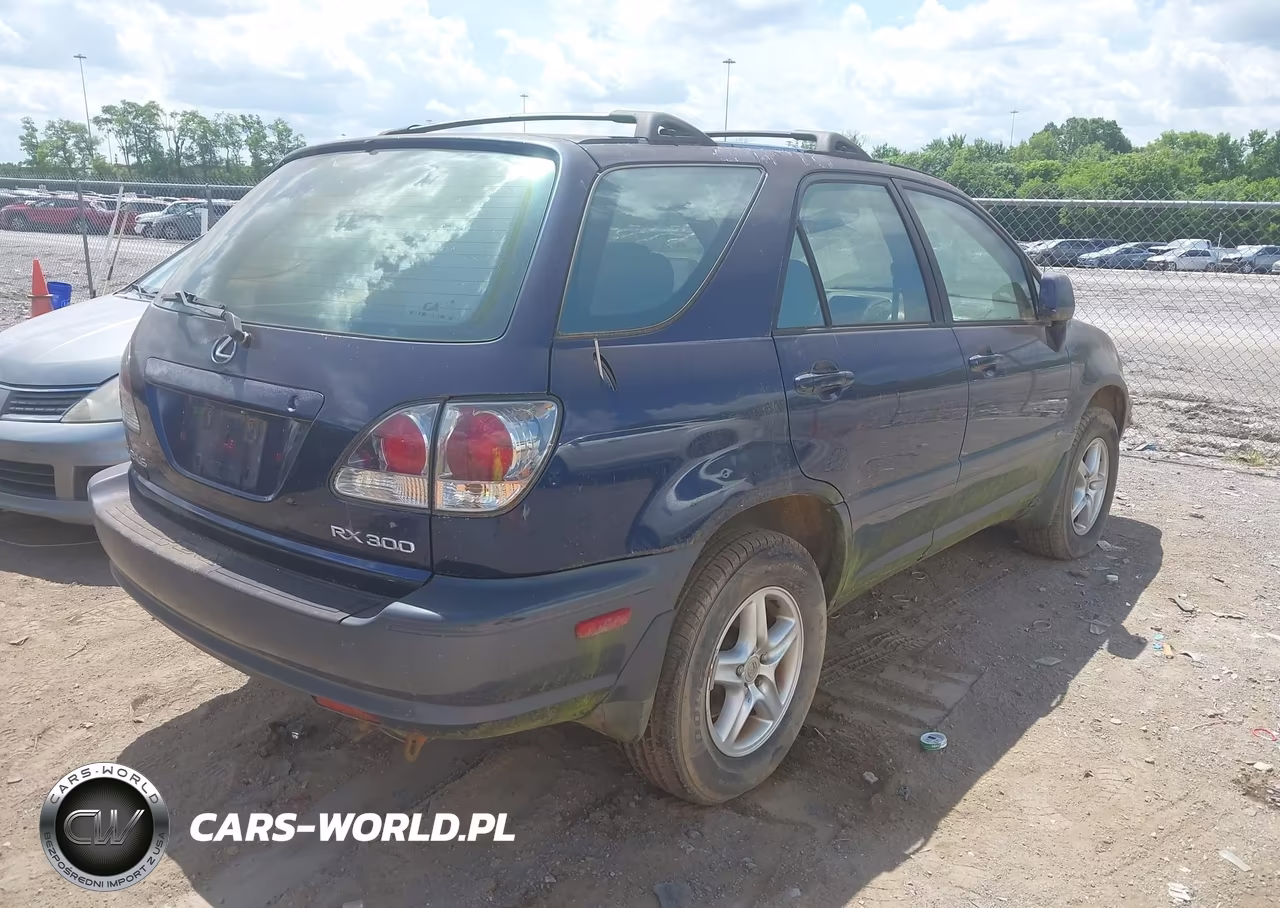 2001 Lexus Rx 300 VIN:JTJHF10UX10187840 - 4