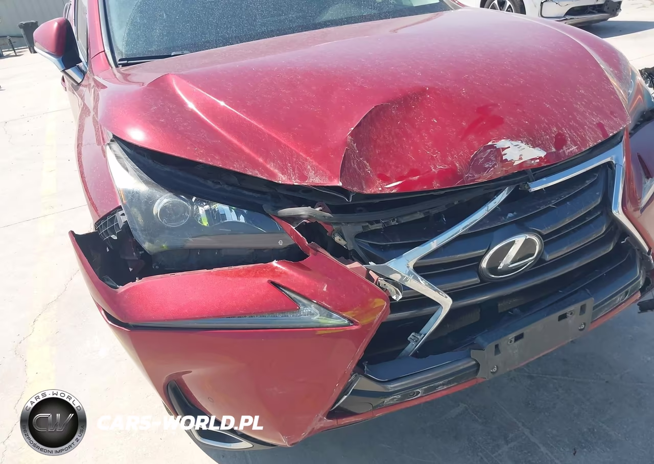 2016 Lexus Nx 200T VIN:JTJYARBZ6G2046749 - 6