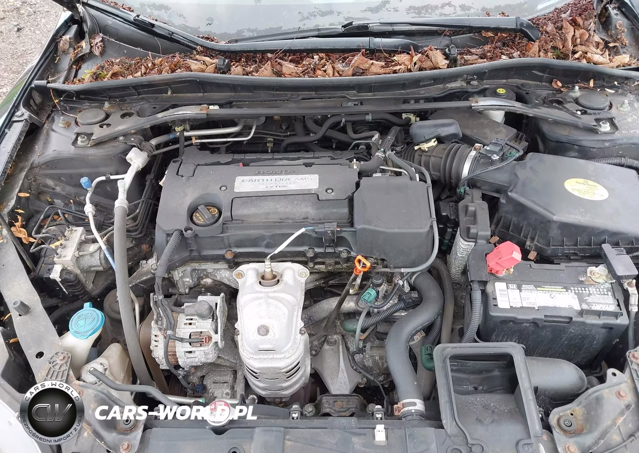 2014 Honda Accord Lx-S VIN:1HGCT1B34EA001687 - 10