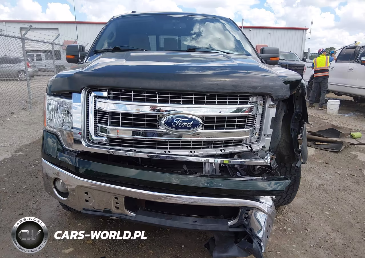 2013 Ford F-150 Xlt VIN:1FTFW1ET5DKE39609 - 12