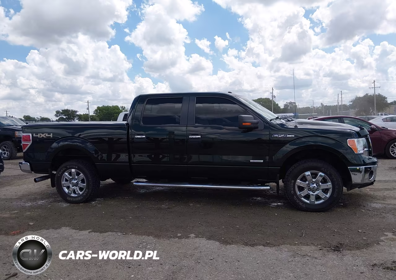 2013 Ford F-150 Xlt VIN:1FTFW1ET5DKE39609 - 13