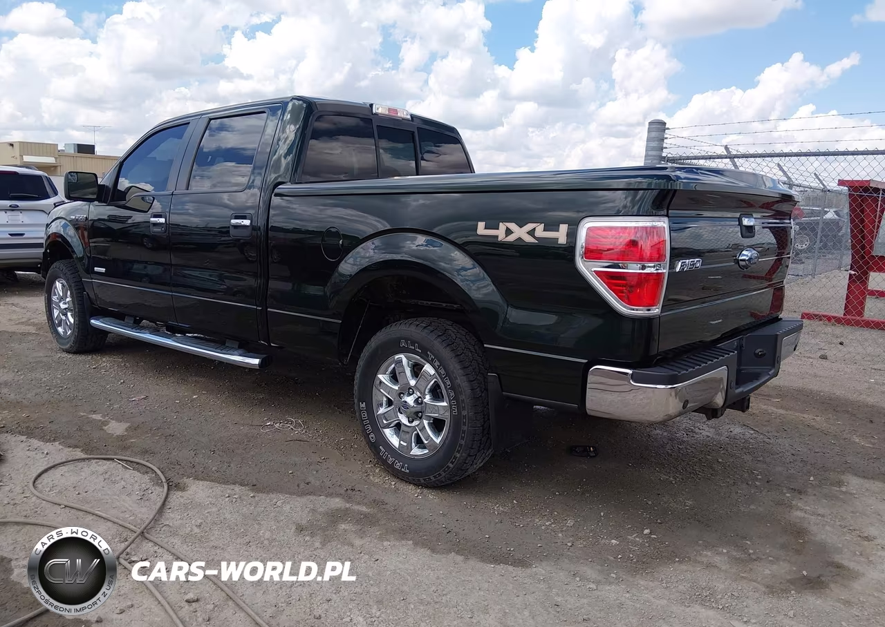 2013 Ford F-150 Xlt VIN:1FTFW1ET5DKE39609 - 3