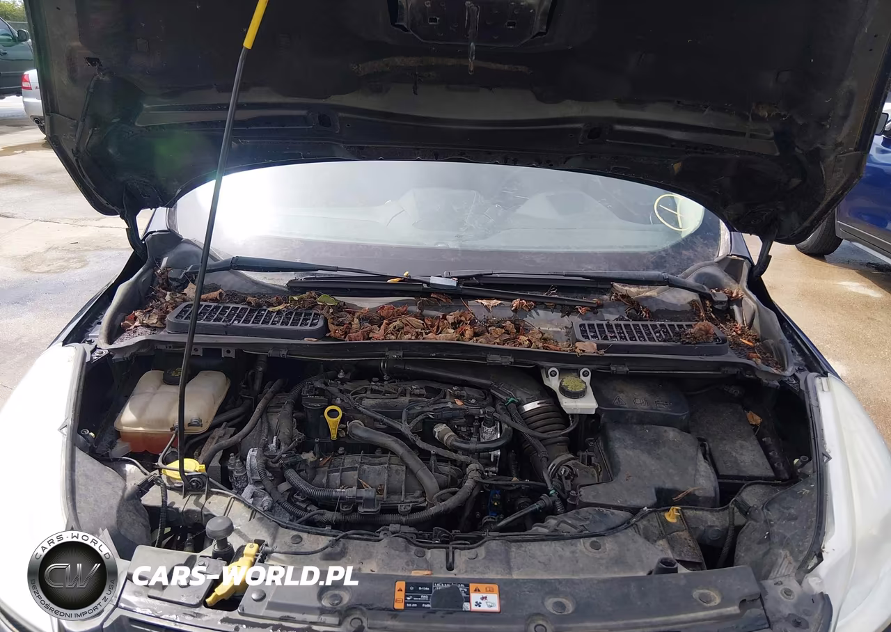 2015 Ford Escape Se VIN:1FMCU0GX8FUC23260 - 10