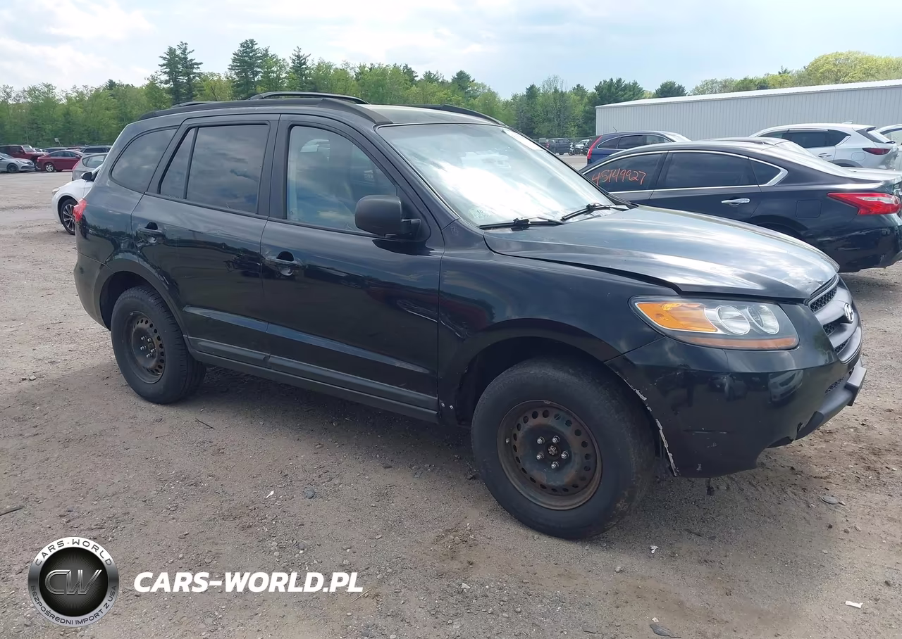 2009 Hyundai Santa Fe Gls