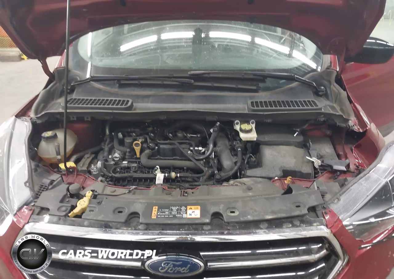 2019 Ford Escape Se VIN:1FMCU9GD0KUC04464 - 10