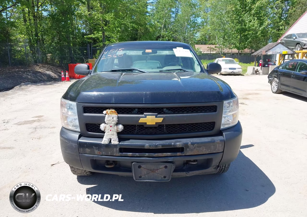 2013 Chevrolet Silverado 1500 Work Truck VIN:1GCNKPEX8DZ369964 - 12