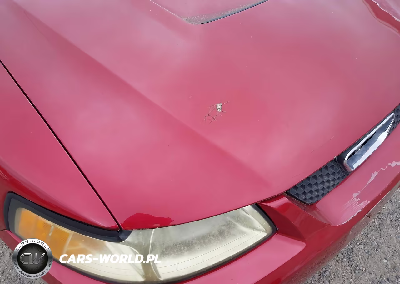2003 Ford Mustang VIN:1FAFP40443F379009 - 6
