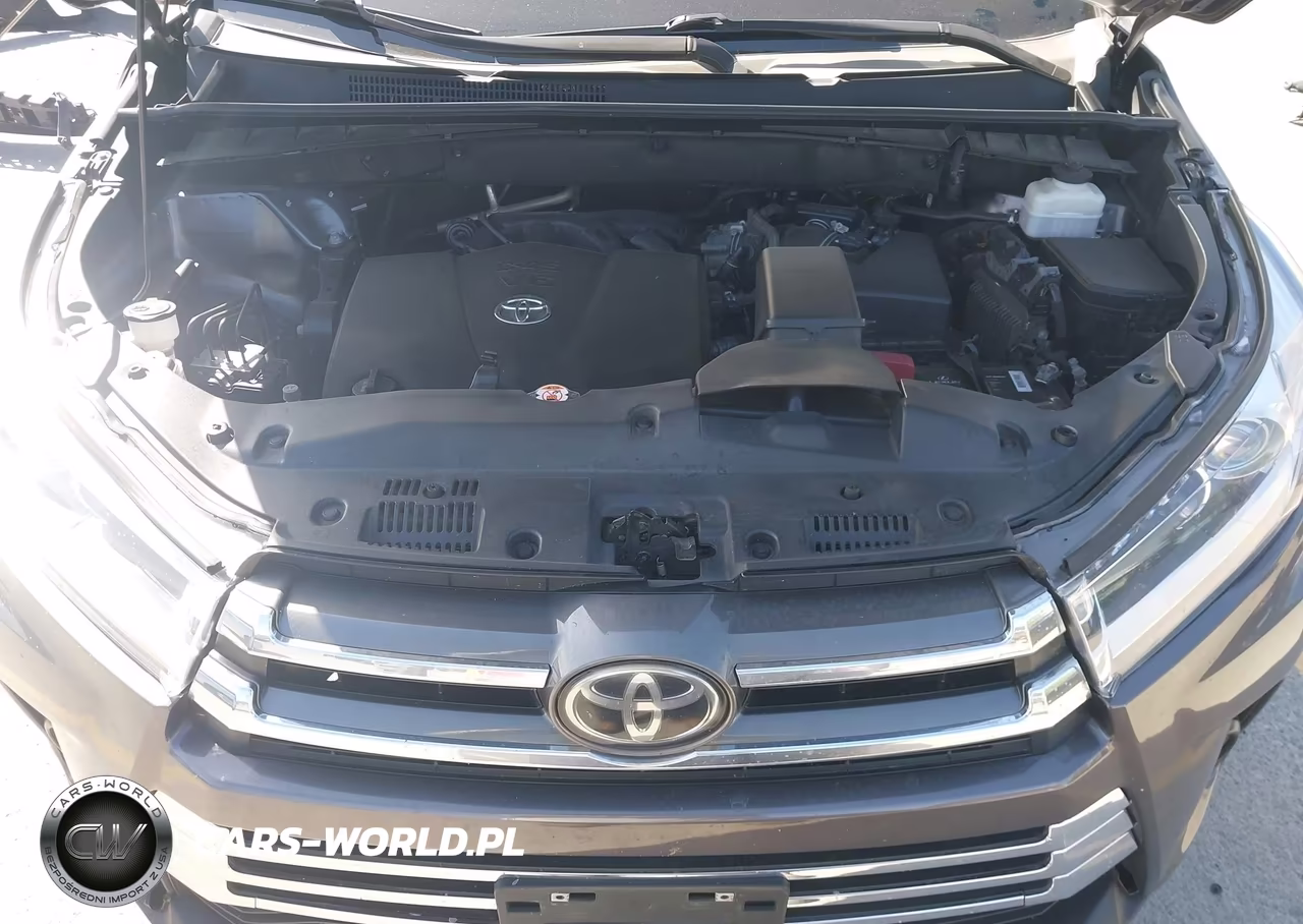2019 Toyota Highlander Limited VIN:5TDYZRFH5KS350993 - 10
