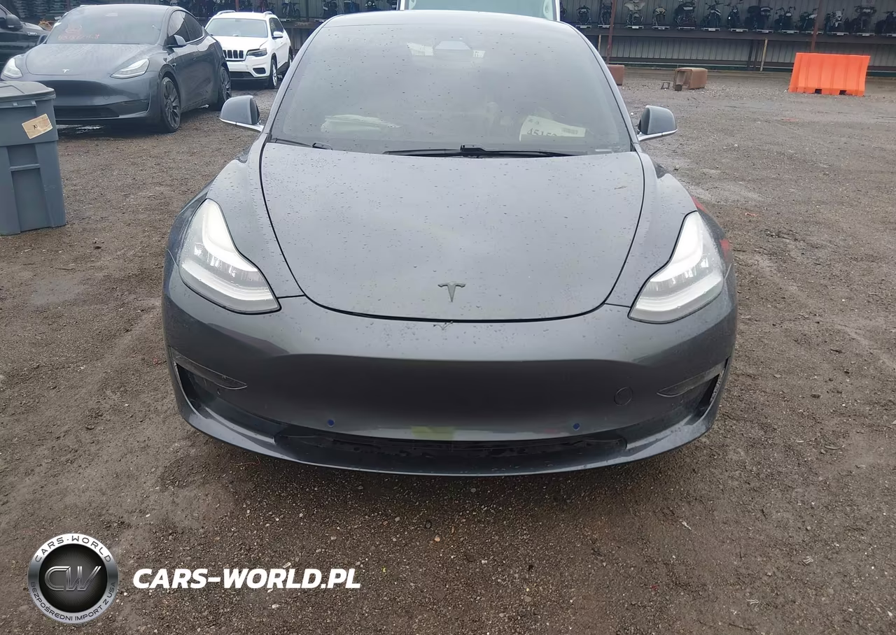 2019 Tesla Model 3 Long Range-Mid Range-Standard Range-Standard Range Plus VIN:5YJ3E1EA2KF396281 - 12