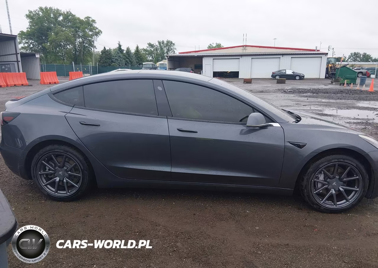 2019 Tesla Model 3 Long Range-Mid Range-Standard Range-Standard Range Plus VIN:5YJ3E1EA2KF396281 - 13
