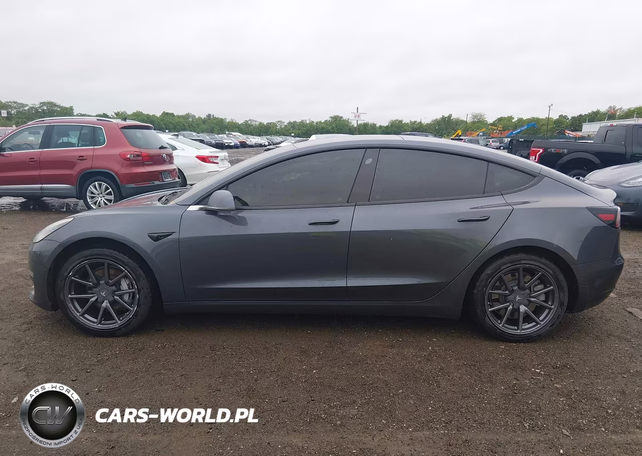 2019 Tesla Model 3 Long Range-Mid Range-Standard Range-Standard Range Plus VIN:5YJ3E1EA2KF396281 - 14