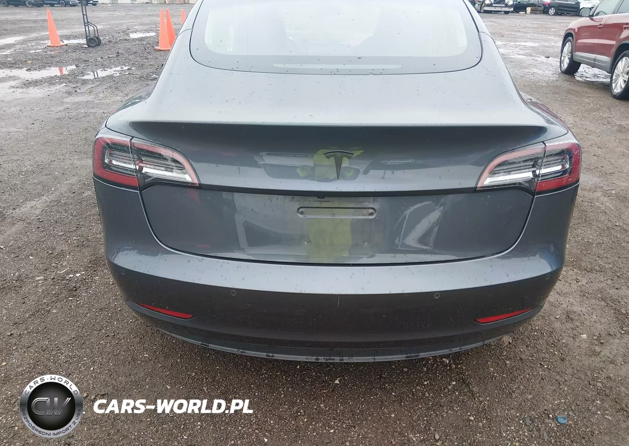 2019 Tesla Model 3 Long Range-Mid Range-Standard Range-Standard Range Plus VIN:5YJ3E1EA2KF396281 - 16