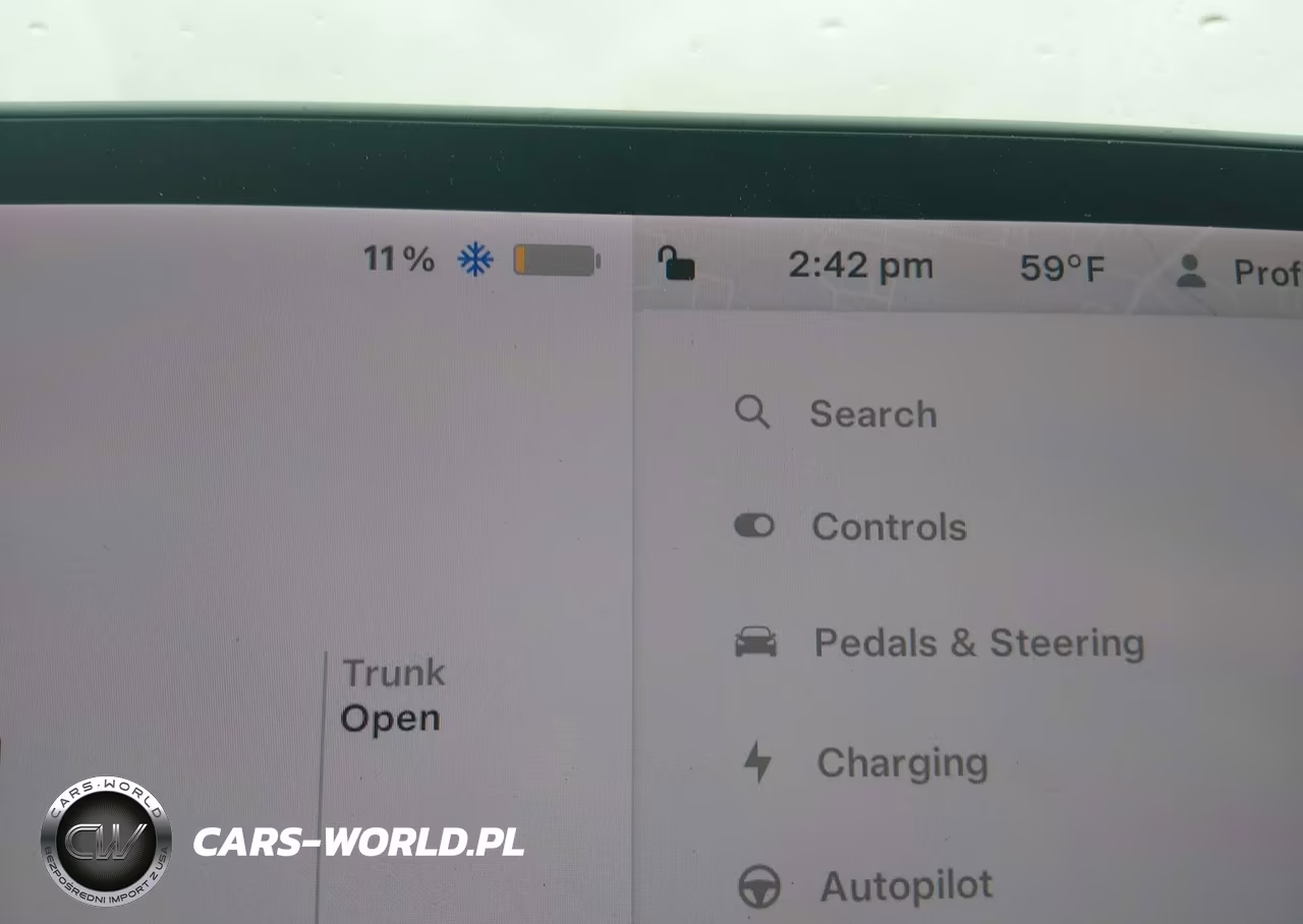 2019 Tesla Model 3 Long Range-Mid Range-Standard Range-Standard Range Plus VIN:5YJ3E1EA2KF396281 - 17