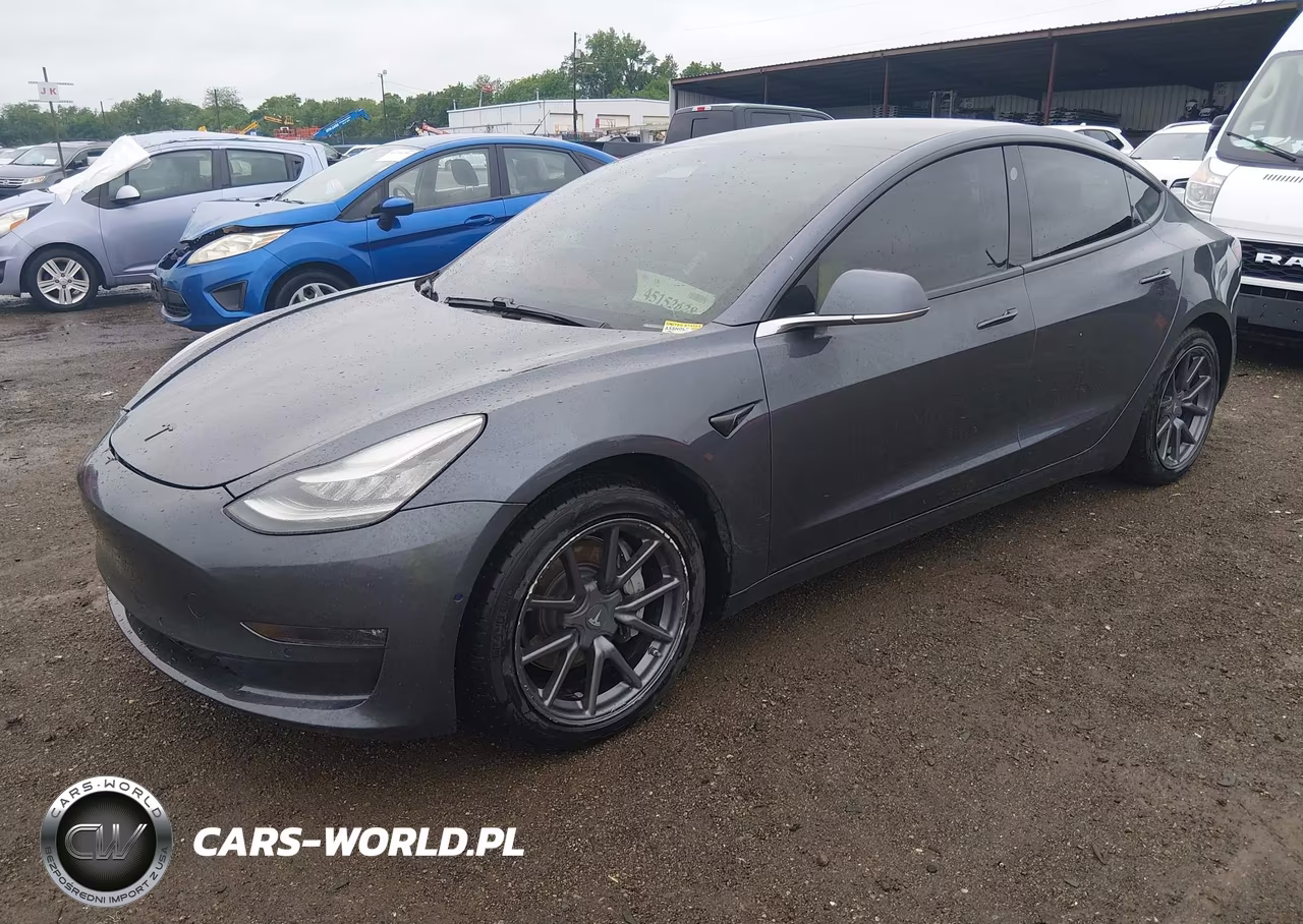2019 Tesla Model 3 Long Range-Mid Range-Standard Range-Standard Range Plus VIN:5YJ3E1EA2KF396281 - 2