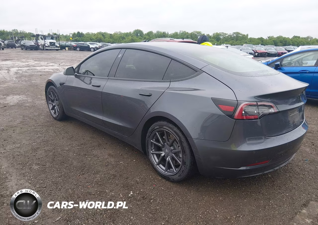 2019 Tesla Model 3 Long Range-Mid Range-Standard Range-Standard Range Plus VIN:5YJ3E1EA2KF396281 - 3