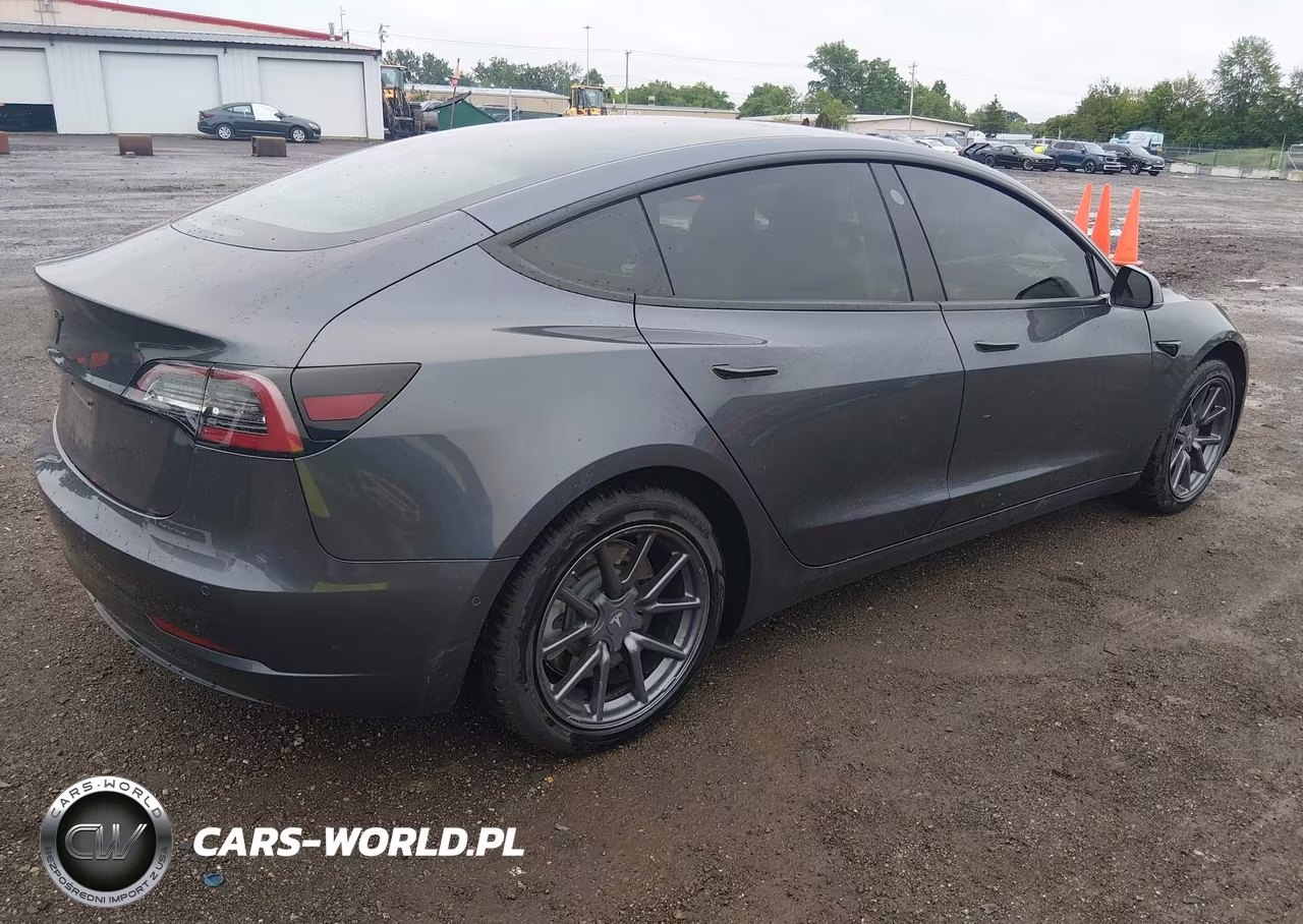 2019 Tesla Model 3 Long Range-Mid Range-Standard Range-Standard Range Plus VIN:5YJ3E1EA2KF396281 - 4