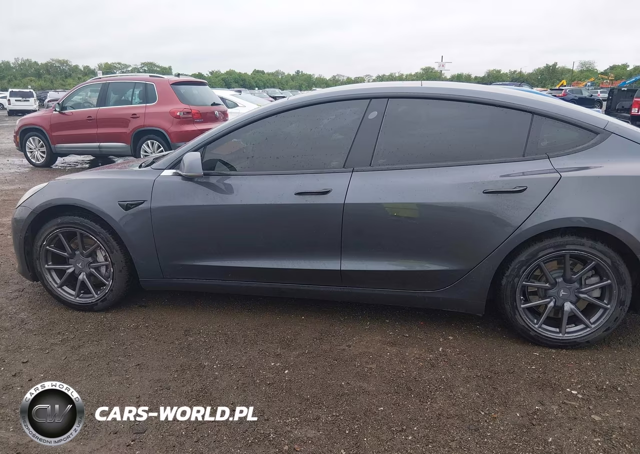 2019 Tesla Model 3 Long Range-Mid Range-Standard Range-Standard Range Plus VIN:5YJ3E1EA2KF396281 - 6