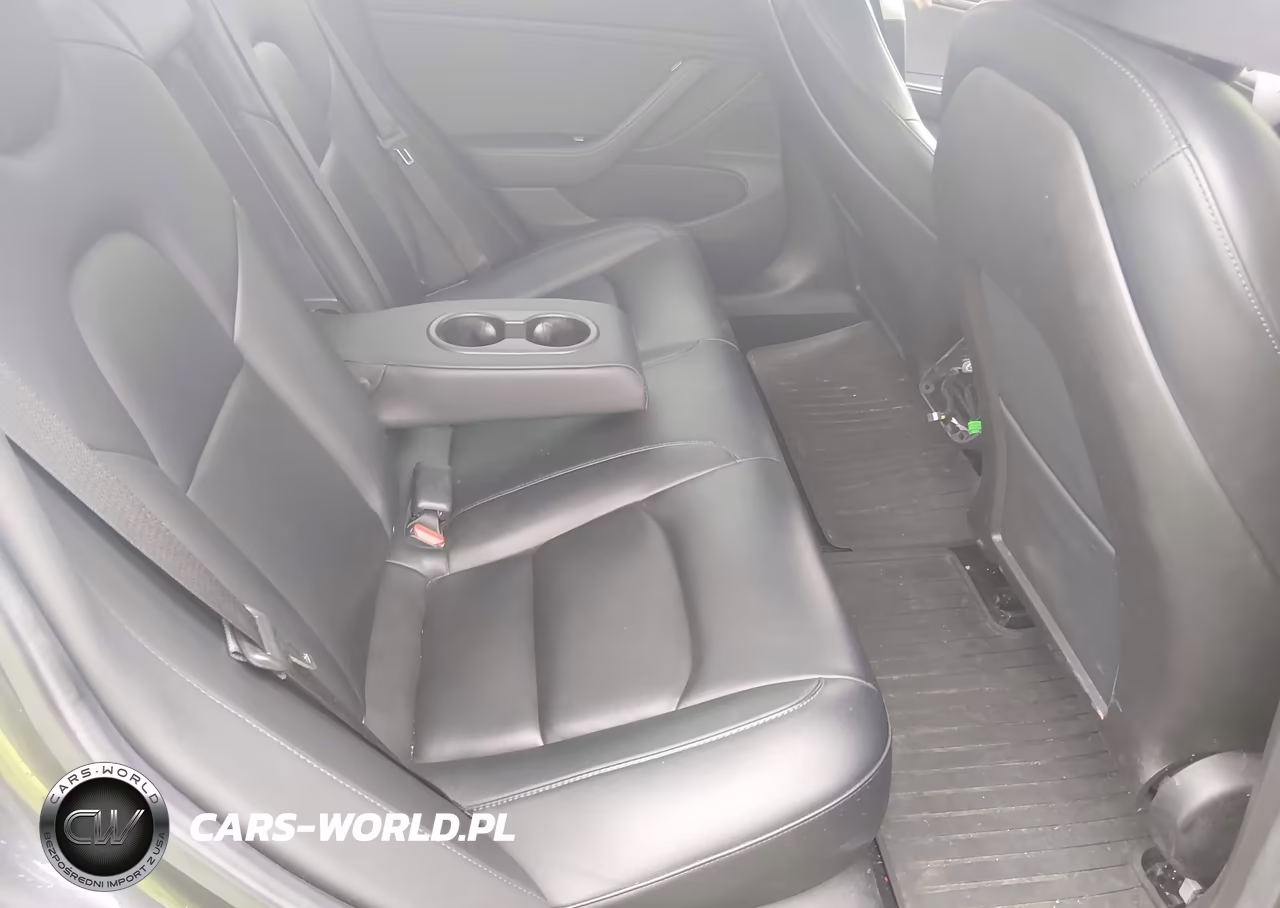 2019 Tesla Model 3 Long Range-Mid Range-Standard Range-Standard Range Plus VIN:5YJ3E1EA2KF396281 - 8