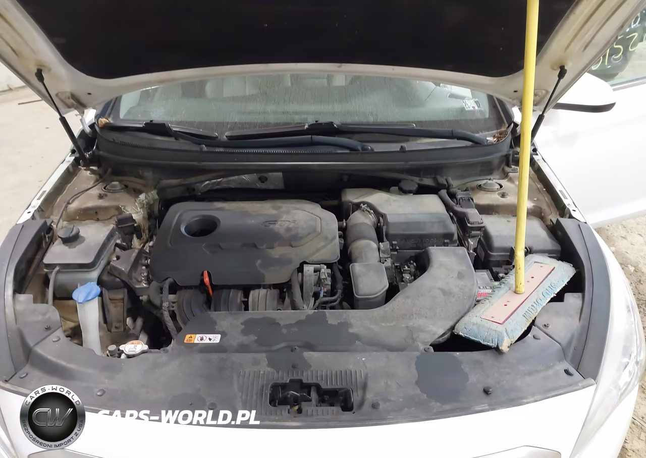2016 Hyundai Sonata Se VIN:5NPE24AF7GH389310 - 10