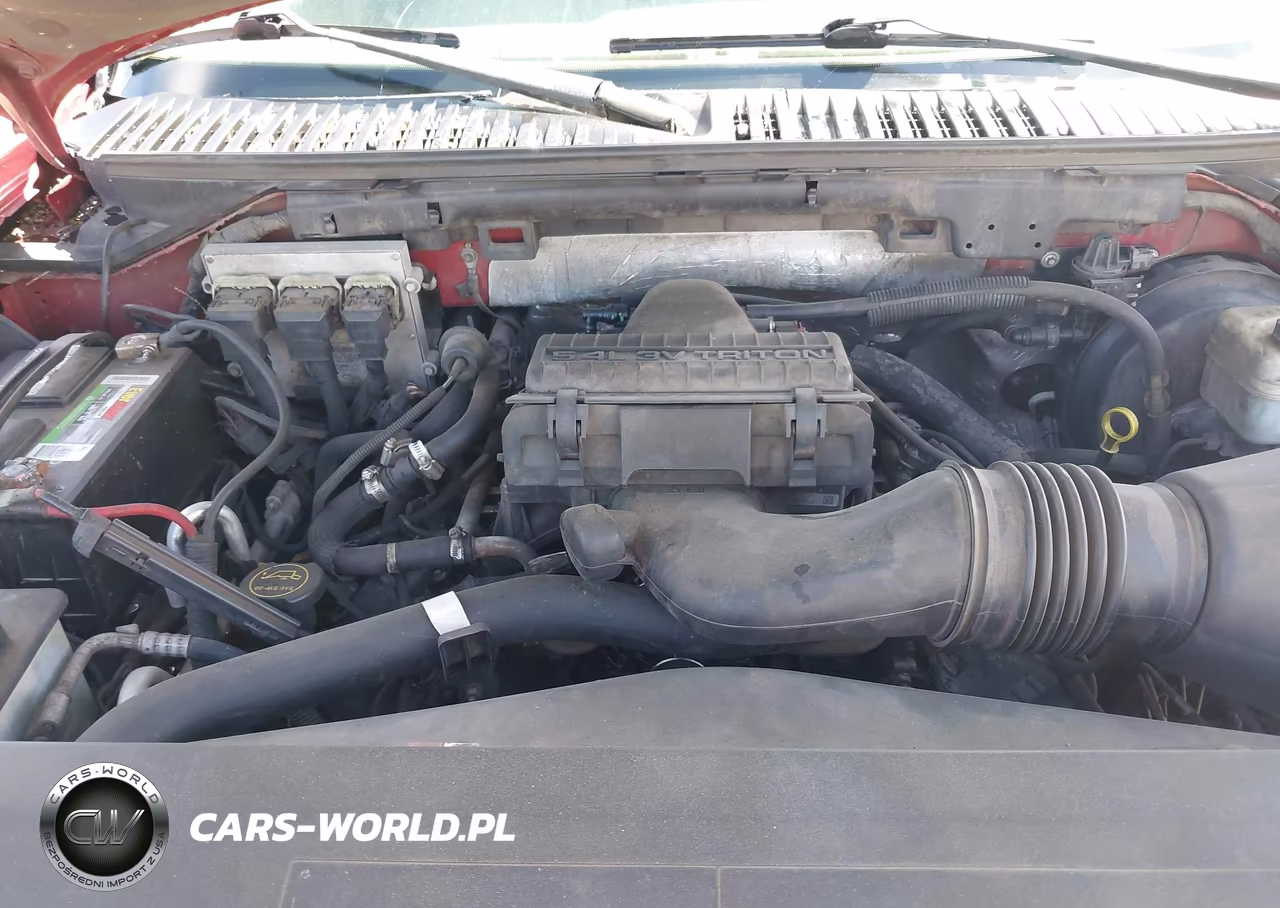 2006 Ford Expedition Eddie Bauer-King Ranch VIN:1FMPU17516LA63329 - 10