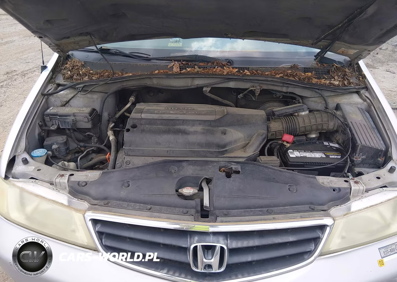 2004 Honda Odyssey Ex-L VIN:5FNRL18074B041547 - 10