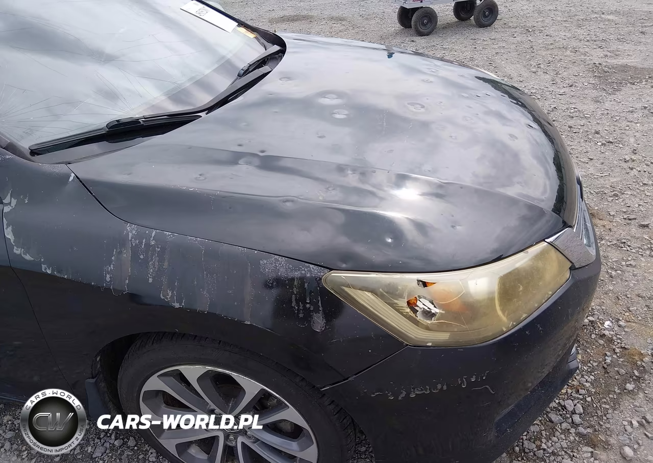 2014 Honda Accord Sport VIN:1HGCR2F59EA120805 - 19