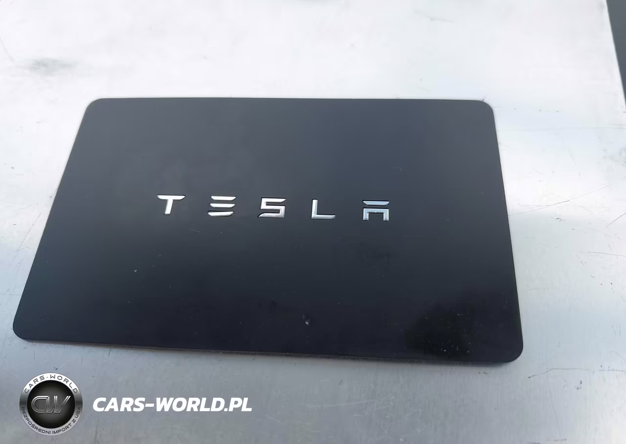 2020 Tesla Model 3 Standard Range Plus Rear-Wheel Drive-Standard Range Rear-Wheel Drive VIN:5YJ3E1EA7LF606455 - 11