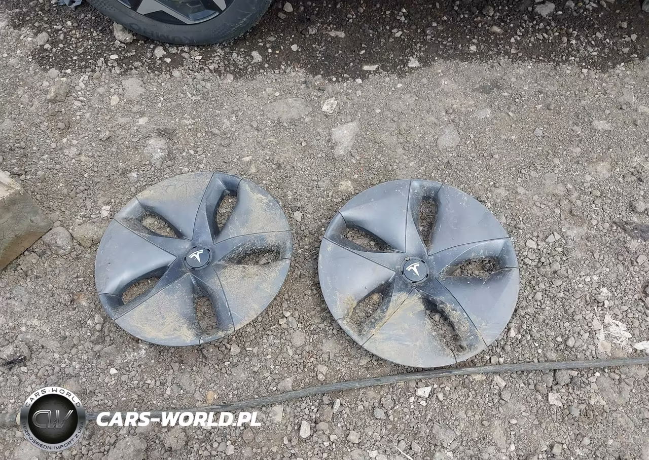 2020 Tesla Model 3 Standard Range Plus Rear-Wheel Drive-Standard Range Rear-Wheel Drive VIN:5YJ3E1EA7LF606455 - 12