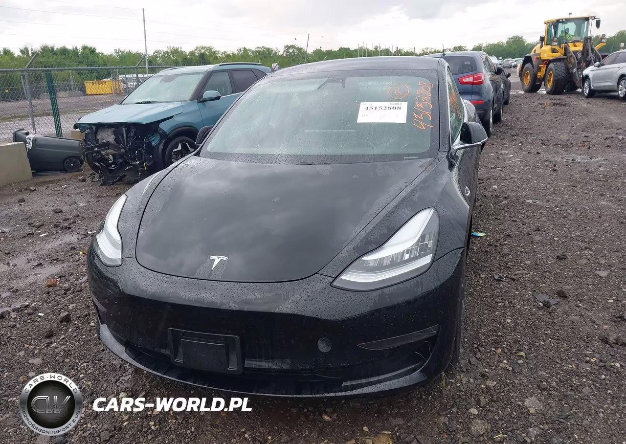 2020 Tesla Model 3 Standard Range Plus Rear-Wheel Drive-Standard Range Rear-Wheel Drive VIN:5YJ3E1EA7LF606455 - 13