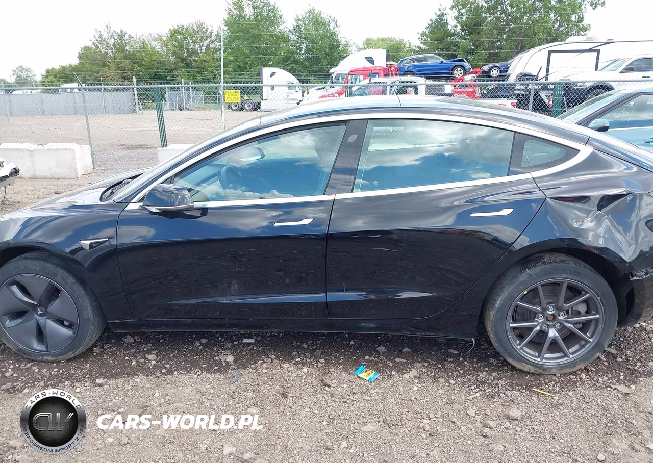 2020 Tesla Model 3 Standard Range Plus Rear-Wheel Drive-Standard Range Rear-Wheel Drive VIN:5YJ3E1EA7LF606455 - 15