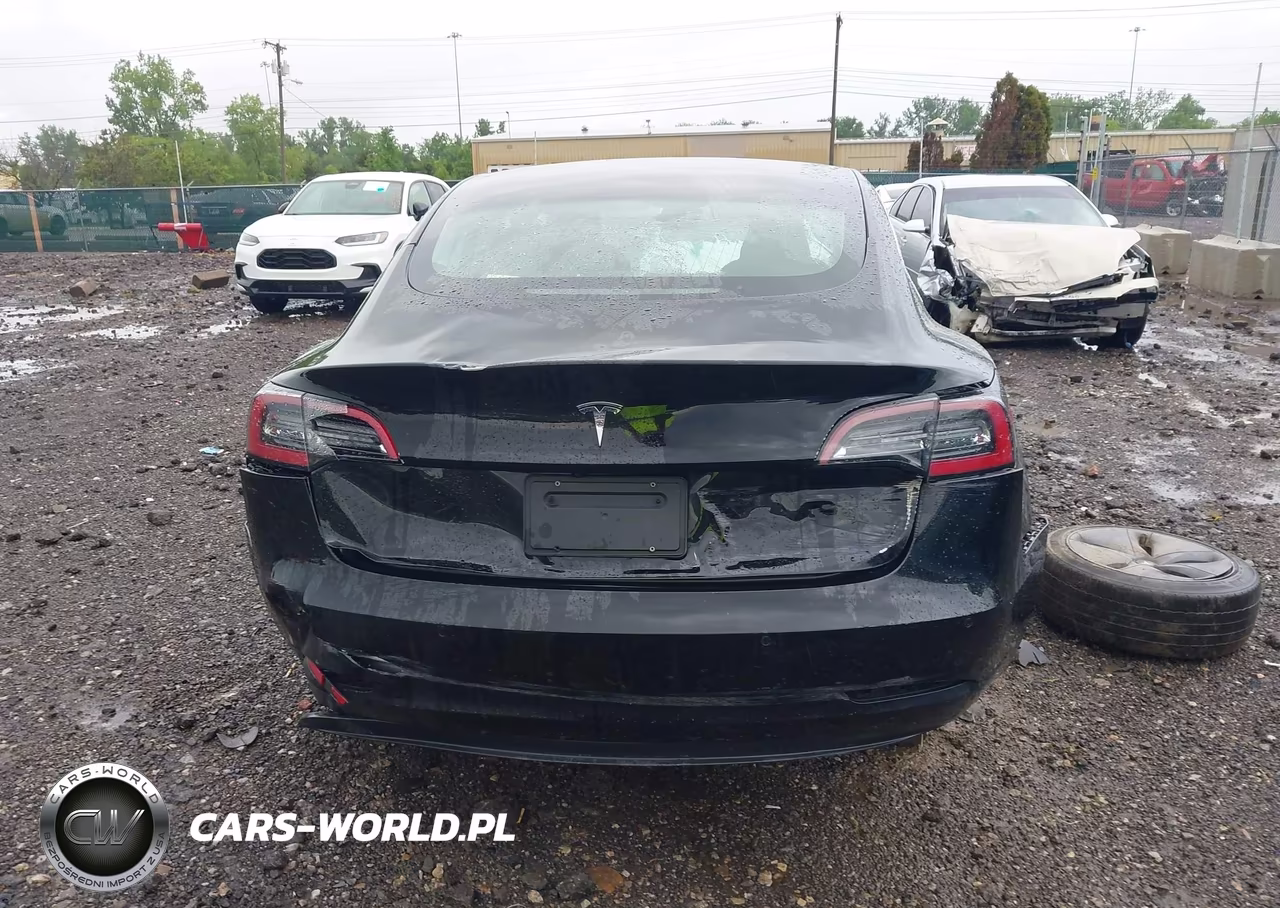 2020 Tesla Model 3 Standard Range Plus Rear-Wheel Drive-Standard Range Rear-Wheel Drive VIN:5YJ3E1EA7LF606455 - 17