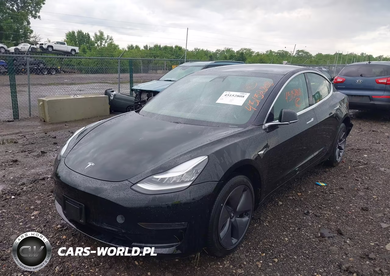 2020 Tesla Model 3 Standard Range Plus Rear-Wheel Drive-Standard Range Rear-Wheel Drive VIN:5YJ3E1EA7LF606455 - 2