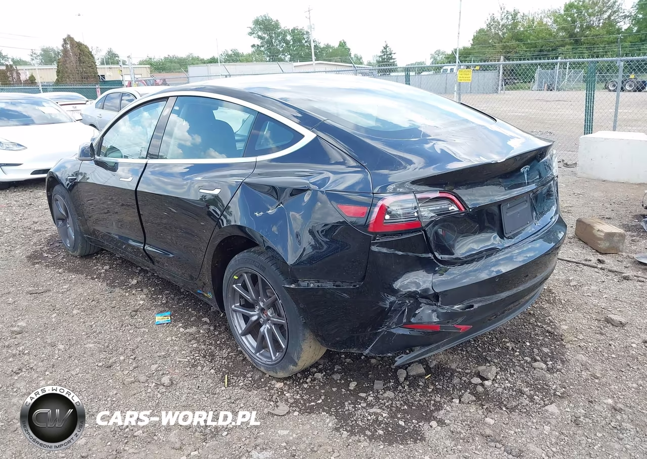 2020 Tesla Model 3 Standard Range Plus Rear-Wheel Drive-Standard Range Rear-Wheel Drive VIN:5YJ3E1EA7LF606455 - 21