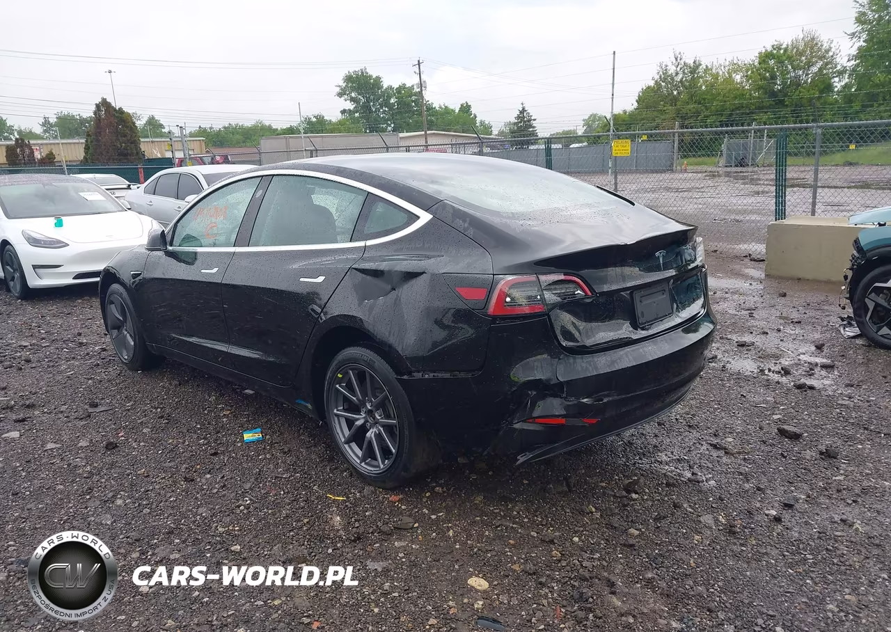 2020 Tesla Model 3 Standard Range Plus Rear-Wheel Drive-Standard Range Rear-Wheel Drive VIN:5YJ3E1EA7LF606455 - 3