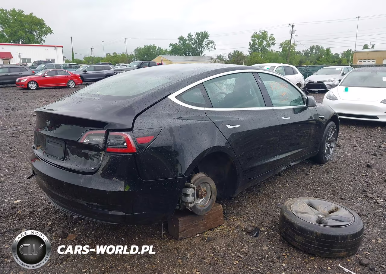2020 Tesla Model 3 Standard Range Plus Rear-Wheel Drive-Standard Range Rear-Wheel Drive VIN:5YJ3E1EA7LF606455 - 4