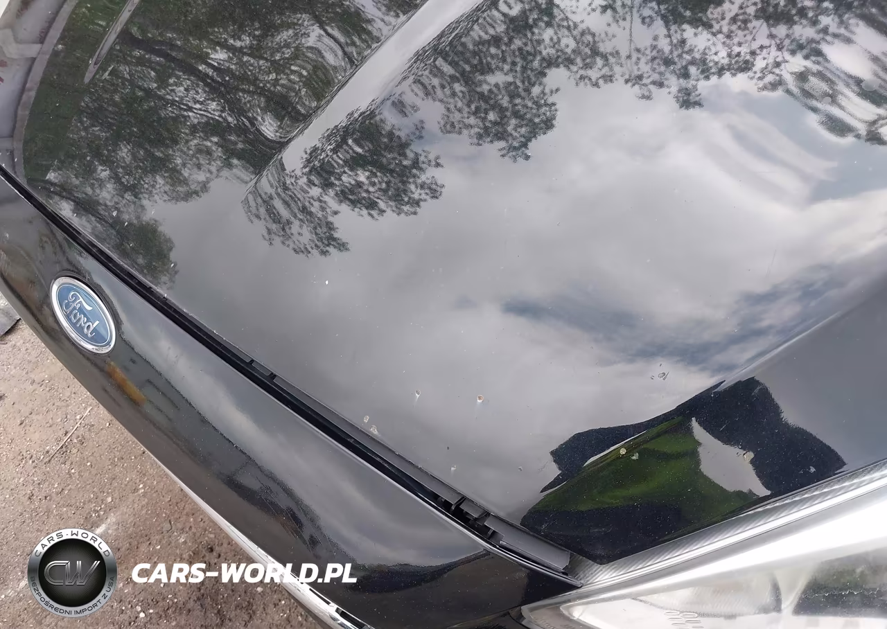 2018 Ford Focus Se VIN:1FADP3F22JL301110 - 13