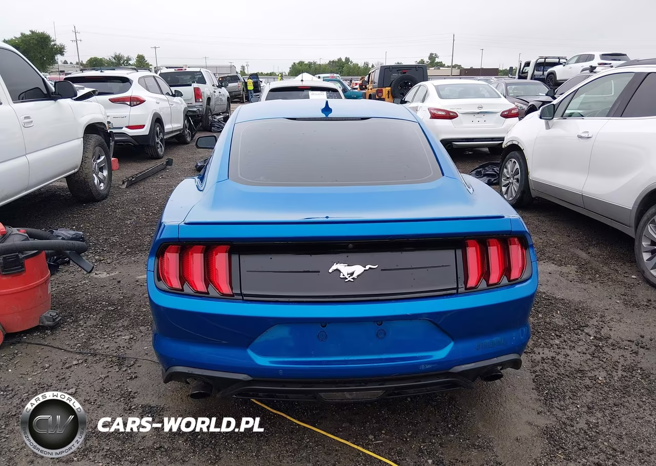 2020 Ford Mustang Ecoboost Premium Fastback VIN:1FA6P8TH0L5154355 - 17