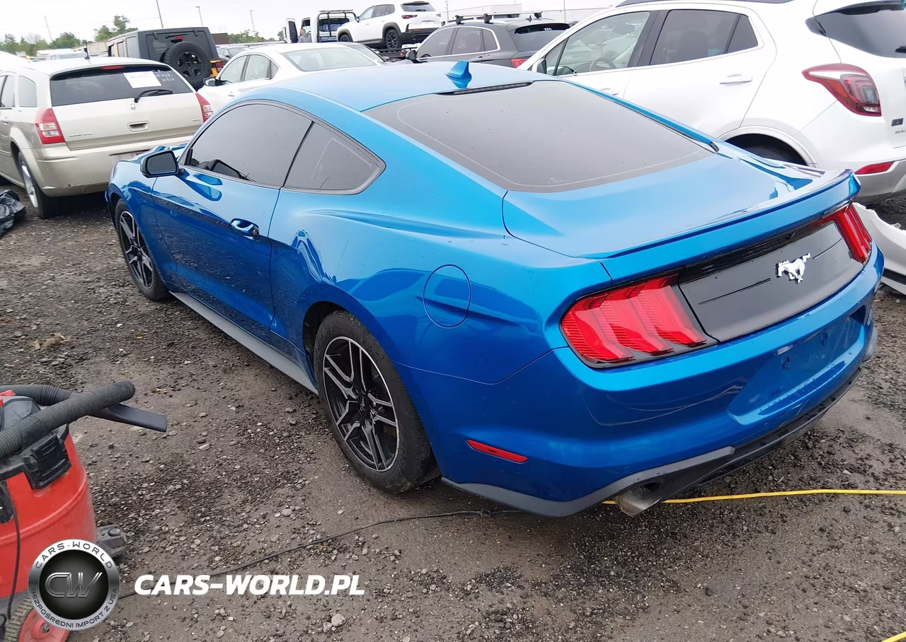 2020 Ford Mustang Ecoboost Premium Fastback VIN:1FA6P8TH0L5154355 - 3