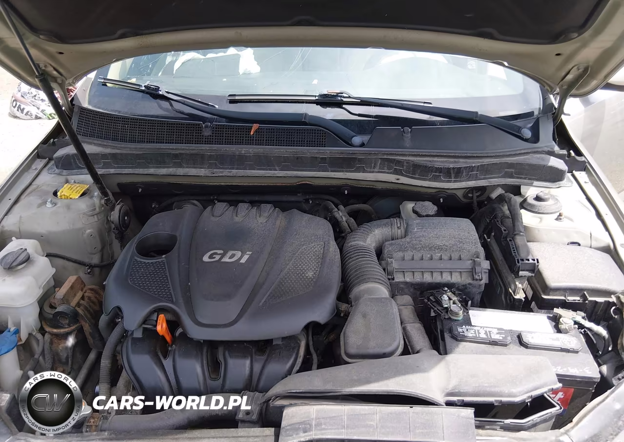 2013 Kia Optima Lx VIN:KNAGM4A79D5410467 - 10