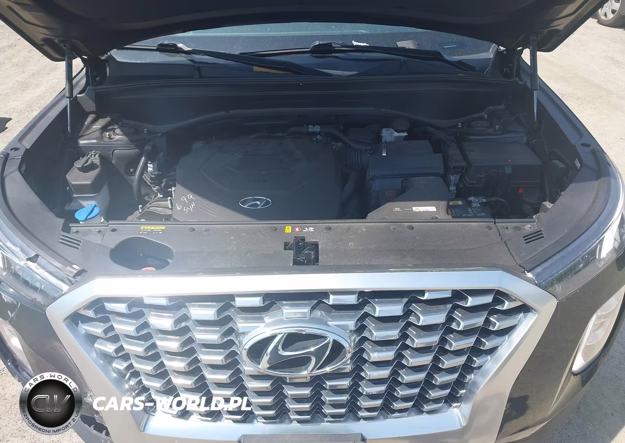 2020 Hyundai Palisade Sel VIN:KM8R2DHE8LU072615 - 10
