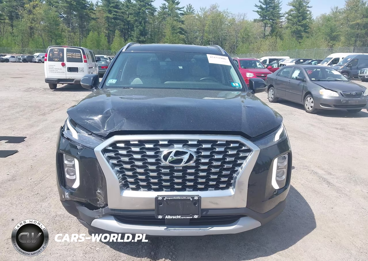 2020 Hyundai Palisade Sel VIN:KM8R2DHE8LU072615 - 12