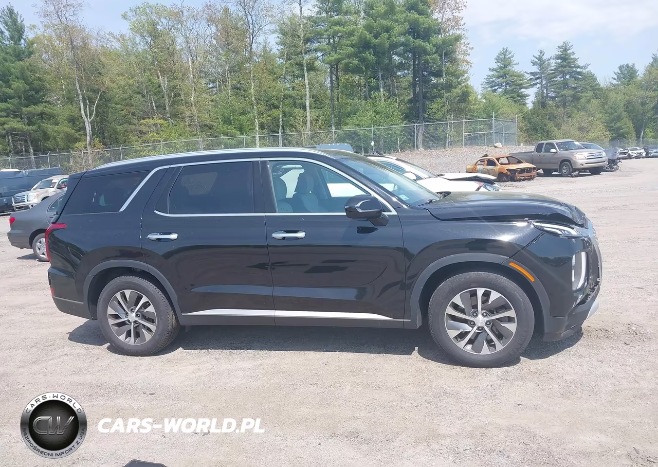 2020 Hyundai Palisade Sel VIN:KM8R2DHE8LU072615 - 13